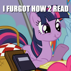 Size: 586x586 | Tagged: safe, edit, edited screencap, screencap, character:pinkie pie, character:rainbow dash, character:twilight sparkle, character:twilight sparkle (unicorn), species:pony, species:unicorn, episode:wonderbolts academy, basket, book, caption, cropped, image macro, meme, picnic basket, ponyloaf, prone, scrunchy face, solo focus, text