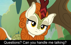 Size: 1920x1216 | Tagged: safe, edit, edited screencap, screencap, character:autumn blaze, species:kirin, comic:celestia's servant interview, episode:sounds of silence, g4, my little pony: friendship is magic, caption, cs captions, female, head tilt, interview, looking at you, solo, tree