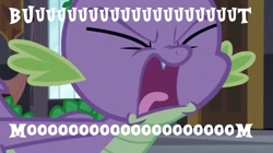 Size: 1024x573 | Tagged: safe, edit, edited screencap, screencap, character:spike, episode:princess spike, g4, my little pony: friendship is magic, angry, breakdown, canterlot castle, caption, image macro, male, meme, solo, text, yelling