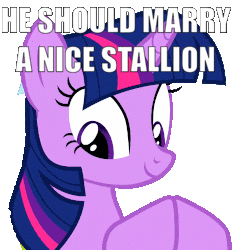 Size: 250x250 | Tagged: safe, edit, edited screencap, screencap, character:twilight sparkle, character:twilight sparkle (unicorn), species:pony, species:unicorn, episode:hurricane fluttershy, g4, my little pony: friendship is magic, animated, background removed, caption, clapping, clapping ponies, cute, female, gif, image macro, implied gay, mare, meme, shipper on deck, simple background, solo, talking, text, transparent background, twiabetes