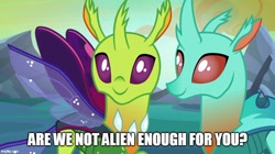 Size: 888x499 | Tagged: safe, edit, edited screencap, screencap, species:changeling, species:reformed changeling, episode:to where and back again, g4, my little pony: friendship is magic, caption, cornicle, image macro, meme, text