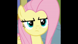 Size: 1920x1080 | Tagged: safe, edit, edited screencap, screencap, character:fluttershy, aivo, angry, animated, avo, cool bug facts, copypasta, cropped, episode needed, female, fifteen.ai, meme, solo, sound, sound only, synthetic voice, text to speech, the pony machine learning project, voice, vulgar, webm