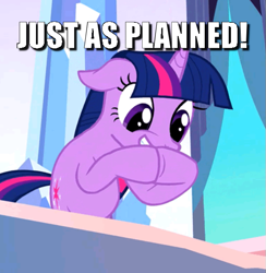 Size: 577x592 | Tagged: safe, edit, edited screencap, screencap, character:twilight sparkle, episode:the crystal empire, g4, my little pony: friendship is magic, caption, cropped, female, image macro, just as planned, meme, solo, text