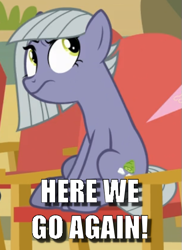 Size: 393x540 | Tagged: safe, edit, edited screencap, screencap, character:limestone pie, episode:rock solid friendship, g4, my little pony: friendship is magic, annoyed, caption, cropped, female, here we go again, image macro, limestone pie is not amused, meme, solo, text