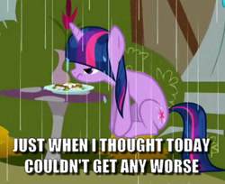 Size: 521x426 | Tagged: safe, edit, edited screencap, screencap, character:twilight sparkle, episode:the ticket master, g4, my little pony: friendship is magic, annoyed, bad day, caption, cropped, daffodil and daisy sandwich, food, grumpy, image macro, meme, rain, sandwich, sitting, text, wet mane
