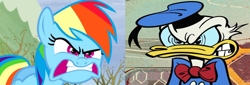 Size: 2006x681 | Tagged: safe, edit, edited screencap, screencap, character:rainbow dash, episode:tanks for the memories, g4, my little pony: friendship is magic, season 5, angry, comparison, disney, do i look angry, donald duck, mickey mouse 2013, new mickey mouse shorts, rage