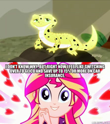 Size: 600x675 | Tagged: safe, edit, edited screencap, screencap, character:ray, character:sunset shimmer, episode:pet project, eqg summertime shorts, g4, my little pony: equestria girls, my little pony:equestria girls, caption, geico, image macro, ray, text
