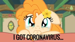 Size: 1280x720 | Tagged: safe, edit, edited screencap, screencap, character:pear butter, episode:the perfect pear, g4, my little pony: friendship is magic, coronavirus, covid-19, crying, dude not funny, meme, sad, this will end in death, this will end in tears, this will end in tears and/or death, this will not end well, too soon, we are going to hell