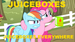 Size: 1050x590 | Tagged: safe, edit, edited screencap, screencap, character:pinkie pie, character:rainbow dash, episode:the super speedy cider squeezy 6000, g4, my little pony: friendship is magic, 2012, bipedal, dexterous hooves, hoof hold, juice, juice box, meme, text, x x everywhere