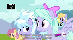 Size: 852x470 | Tagged: safe, edit, edited screencap, screencap, character:cloudchaser, character:flitter, episode:hurricane fluttershy, g4, my little pony: friendship is magic, caption, ddt, hub logo, hubble, it ain't me, looking at each other, meme, the hub, tv rating, tv-y, vietnam, youtube caption