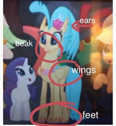 Size: 574x623 | Tagged: safe, edit, edited screencap, screencap, character:princess skystar, species:hippogriff, my little pony: the movie (2017), april fools, circled, cropped, op is a duck