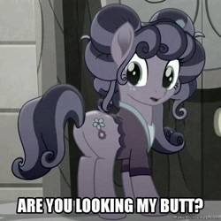 Size: 929x929 | Tagged: safe, edit, edited screencap, screencap, character:petunia petals, species:earth pony, species:pony, friendship is magic: rainbow roadtrip, g4, my little pony: friendship is magic, butt, caption, clothing, cropped, desaturated, female, grammar error, image macro, looking back, mare, meme, solo, text