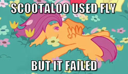 Size: 642x374 | Tagged: safe, edit, edited screencap, screencap, character:scootaloo, species:pegasus, species:pony, episode:growing up is hard to do, g4, my little pony: friendship is magic, caption, crossover, flower, image macro, meme, nintendo, pokémon, scootaloo can't fly, scootaloo will never fly, text