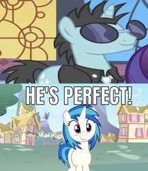 Size: 642x739 | Tagged: safe, edit, edited screencap, screencap, character:dj pon-3, character:neon lights, character:vinyl scratch, species:pony, species:unicorn, episode:sweet and elite, g4, my little pony: friendship is magic, caption, female, image macro, male, mare, meme, shipping, stallion, straight, text, vinylights
