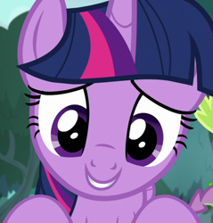 Size: 1032x1080 | Tagged: safe, edit, screencap, character:twilight sparkle, character:twilight sparkle (alicorn), species:alicorn, species:pony, episode:she talks to angel, g4, my little pony: friendship is magic, close-up, cropped, crouching, cute, looking at you, offscreen character, pov, twiabetes