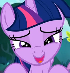 Size: 687x720 | Tagged: safe, edit, screencap, character:twilight sparkle, character:twilight sparkle (alicorn), species:alicorn, species:pony, episode:she talks to angel, g4, my little pony: friendship is magic, close-up, cropped, crouching, cute, lidded eyes, looking at you, offscreen character, open mouth, pov, twiabetes