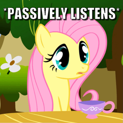 Size: 673x672 | Tagged: safe, edit, edited screencap, screencap, character:fluttershy, episode:stare master, g4, my little pony: friendship is magic, caption, cropped, cup, female, image macro, meme, solo, teacup, text