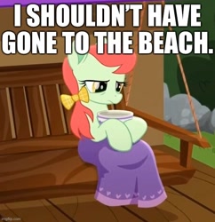 Size: 616x636 | Tagged: safe, edit, edited screencap, screencap, species:earth pony, species:pony, friendship is magic: rainbow roadtrip, g4, my little pony: friendship is magic, apple juice (character), background pony, beach, blanket, bow, bowl, caption, coronavirus, covid-19, covidiots, cropped, female, food, hair bow, image macro, implied beach, mane bow, mare, porch, sad, sick, solo, soup, text, unnamed character
