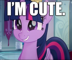 Size: 995x821 | Tagged: safe, edit, edited screencap, screencap, character:twilight sparkle, character:twilight sparkle (alicorn), species:alicorn, species:pony, my little pony: the movie (2017), bronybait, captain obvious, caption, cropped, cute, image macro, smiling, text, truth, twiabetes