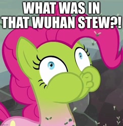 Size: 878x905 | Tagged: safe, edit, edited screencap, screencap, character:pinkie pie, episode:school raze, g4, my little pony: friendship is magic, caption, casual racism, coronavirus, covid-19, cropped, green face, image macro, implied bat, puffy cheeks, sick, stew, text, wuhan