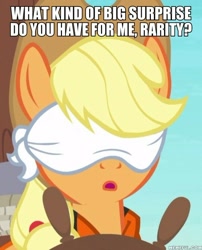 Size: 600x741 | Tagged: safe, edit, edited screencap, screencap, character:applejack, episode:p.p.o.v. (pony point of view), g4, my little pony: friendship is magic, blindfold, caption, cropped, female, image macro, implied rarity, solo, text