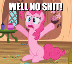 Size: 593x527 | Tagged: safe, edit, edited screencap, screencap, character:pinkie pie, episode:secret of my excess, g4, my little pony: friendship is magic, caption, cropped, female, golden oaks library, image macro, solo, text, vulgar
