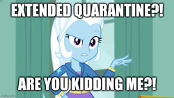 Size: 732x412 | Tagged: safe, edit, edited screencap, screencap, character:trixie, episode:a little birdie told me, g4, my little pony: equestria girls, my little pony:equestria girls, female, image macro, meme, quarantine, solo, text, trixie yells at everything