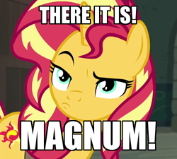 Size: 500x450 | Tagged: safe, edit, edited screencap, screencap, character:sunset shimmer, species:pony, species:unicorn, equestria girls:forgotten friendship, g4, my little pony: equestria girls, my little pony:equestria girls, caption, cropped, female, image macro, looking at you, looking back, looking back at you, mare, meme, most likely to be forgotten, pouting, solo, text, unamused, zoolander