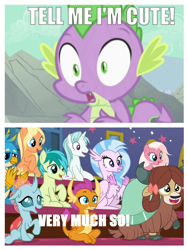 Size: 1212x1614 | Tagged: safe, edit, edited screencap, screencap, character:amber grain, character:gallus, character:ocellus, character:sandbar, character:silverstream, character:smolder, character:spike, character:yona, species:changedling, species:changeling, species:classical hippogriff, species:dragon, species:earth pony, species:griffon, species:hippogriff, species:pony, species:reformed changeling, species:yak, episode:a dog and pony show, episode:a rockhoof and a hard place, g4, my little pony: friendship is magic, bow, cheering, clapping, cloven hooves, colored hooves, cropped, cute, dialogue, diaocelles, diastreamies, dragoness, edited edit, female, friendship student, gallabetes, hair bow, jewelry, malachite (sailor moon), male, monkey swings, necklace, op is a swan, sandabetes, school of friendship, smolderbetes, snowy quartz, spikabetes, spikelove, teenager, yonadorable