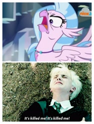 Size: 3106x4096 | Tagged: safe, edit, edited screencap, screencap, character:silverstream, species:hippogriff, episode:what lies beneath, g4, my little pony: friendship is magic, angry, comparison, cute, diastreamies, draco malfoy, faec, harry potter and the prisoner of azkaban