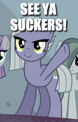 Size: 390x608 | Tagged: safe, edit, edited screencap, screencap, character:limestone pie, episode:hearthbreakers, g4, my little pony: friendship is magic, caption, cropped, image macro, offscreen character, text