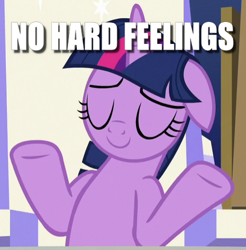 Size: 470x478 | Tagged: safe, edit, edited screencap, screencap, character:twilight sparkle, character:twilight sparkle (alicorn), species:alicorn, species:pony, episode:sparkle's seven, g4, my little pony: friendship is magic, caption, cropped, eyes closed, female, floppy ears, image macro, shrug, solo, text