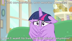 Size: 1280x720 | Tagged: safe, edit, edited screencap, screencap, character:twilight sparkle, character:twilight sparkle (alicorn), species:alicorn, species:pony, episode:starlight the hypnotist, spoiler:interseason shorts, coronavirus, covid-19, faec, female, i don't want to live on this planet anymore, murder hornets, scared, solo, text