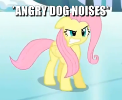 Size: 720x590 | Tagged: safe, edit, edited screencap, screencap, character:fluttershy, species:pegasus, species:pony, episode:keep calm and flutter on, g4, my little pony: friendship is magic, behaving like a dog, caption, cropped, descriptive noise, female, growling, image macro, mare, solo, text