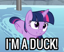 Size: 496x401 | Tagged: safe, edit, edited screencap, screencap, character:twilight sparkle, character:twilight sparkle (alicorn), species:alicorn, species:pony, episode:deep tissue memories, spoiler:deep tissue memories, spoiler:mlp friendship is forever, behaving like a bird, behaving like a duck, cropped, cute, female, folded wings, mare, smiling, solo, swimming pool, text, twiabetes, twilight duckle, water, wings
