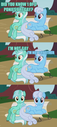 Size: 624x1383 | Tagged: safe, edit, edited screencap, screencap, character:linky, character:lyra heartstrings, character:shoeshine, species:earth pony, species:pony, species:unicorn, episode:dragonshy, g4, my little pony: friendship is magic, 3 panel comic, animation error, bench, blatant lies, caption, comic, image macro, looking at you, meme, ponified meme, prone, screencap comic, sitting, sitting lyra, text