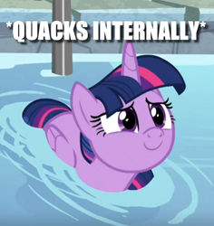 Size: 544x576 | Tagged: safe, edit, edited screencap, screencap, character:twilight sparkle, character:twilight sparkle (alicorn), species:alicorn, species:duck, species:pony, episode:deep tissue memories, spoiler:deep tissue memories, behaving like a duck, c:, caption, cropped, cute, duck pony, female, folded wings, image macro, lidded eyes, looking up, mare, meme, smiling, solo, swimming, text, twiabetes, twilight duckle, water, wings, x internally