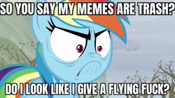 Size: 1280x720 | Tagged: safe, edit, edited screencap, screencap, character:rainbow dash, species:pegasus, species:pony, episode:tanks for the memories, g4, my little pony: friendship is magic, caption, do i look angry, female, image macro, meme, solo, text, vulgar