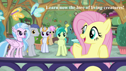 Size: 1280x720 | Tagged: safe, edit, edited screencap, screencap, character:end zone, character:fluttershy, character:sandbar, character:silverstream, character:slate sentiments, character:strawberry scoop, character:summer meadow, episode:marks for effort, g4, my little pony: friendship is magic, butterfly, cute, diastreamies, end zone, friendship student, jewelry, lord of the rings, lore of living creatures, necklace, sandabetes, school of friendship, shyabetes, slateabetes, speech, talking, the two towers, tolkien