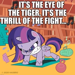 Size: 1080x1080 | Tagged: safe, edit, edited screencap, screencap, character:twilight sparkle, character:twilight sparkle (alicorn), species:alicorn, species:pony, my little pony:pony life, angry, barbell, book, bookshelf, caption, exercise, eye of the tiger, female, folded wings, gritted teeth, image macro, kettlebell, mare, push-ups, radio, rocky (movie), solo, song reference, survivor (band), sweat, text, weight, wings, workout