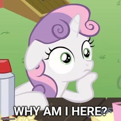 Size: 500x500 | Tagged: safe, edit, edited screencap, screencap, character:sweetie belle, episode:ponyville confidential, g4, my little pony: friendship is magic, caption, cropped, exploitable meme, female, image macro, meme, obligatory pony, solo, sudden clarity sweetie belle, text