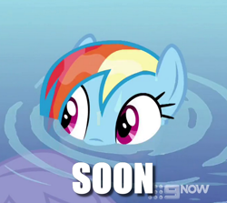 Size: 640x570 | Tagged: safe, edit, edited screencap, screencap, character:rainbow dash, episode:deep tissue memories, spoiler:deep tissue memories, spoiler:mlp friendship is forever, caption, cropped, cute, dashabetes, female, image macro, offscreen character, solo, soon, text, water, wet mane