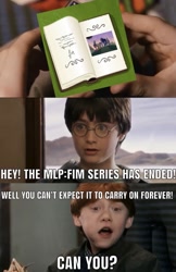 Size: 1017x1568 | Tagged: safe, edit, edited screencap, screencap, episode:the last problem, g4, my little pony: friendship is magic, harry potter, meme, reference, the end