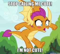 Size: 600x545 | Tagged: safe, edit, edited screencap, screencap, character:smolder, species:dragon, episode:uprooted, g4, my little pony: friendship is magic, blatant lies, blushing, caption, cropped, cute, denial's not just a river in egypt, dragoness, female, i'm not cute, image macro, smolderbetes, smoldere, solo, text, tsundere