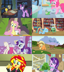 Size: 2560x2880 | Tagged: safe, edit, edited screencap, screencap, character:angel bunny, character:applejack, character:fluttershy, character:gummy, character:opalescence, character:owlowiscious, character:phyllis, character:pinkie pie, character:rainbow dash, character:rarity, character:ray, character:starlight glimmer, character:sunset shimmer, character:tank, character:twilight sparkle, character:winona, episode:a horse shoe-in, episode:feeling pinkie keen, episode:just for sidekicks, episode:may the best pet win, episode:owl's well that ends well, episode:pet project, episode:she talks to angel, episode:suited for success, eqg summertime shorts, g4, my little pony: equestria girls, my little pony: friendship is magic, my little pony:equestria girls, candle, collage, golden oaks library, mane eight, pet, plant, ray, starlight's office, stick