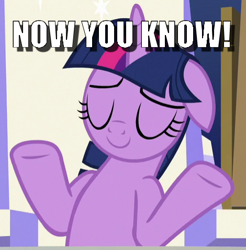 Size: 470x478 | Tagged: safe, edit, edited screencap, screencap, character:twilight sparkle, character:twilight sparkle (alicorn), species:alicorn, species:pony, episode:sparkle's seven, g4, my little pony: friendship is magic, caption, cropped, eyes closed, female, floppy ears, image macro, now you know, shrug, solo, text