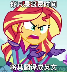 Size: 500x540 | Tagged: safe, edit, edited screencap, screencap, character:sunset shimmer, equestria girls:friendship games, g4, my little pony: equestria girls, my little pony:equestria girls, chinese, cropped, exploitable meme, image macro, imgflip, meme, sunset is not willing to learn