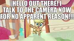 Size: 1920x1080 | Tagged: safe, edit, edited screencap, screencap, character:applejack, species:earth pony, species:pony, my little pony:pony life, breaking the fourth wall, caption, clothing, cowboy hat, excessive exclamation marks, female, fourth wall, hat, image macro, looking at you, mare, talking to viewer, text, unshorn fetlocks