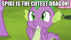 Size: 500x279 | Tagged: safe, edit, edited screencap, screencap, character:pinkie pie, character:spike, character:twilight sparkle, species:dragon, species:pony, caption, cropped, cute, edited edit, false, image macro, solo focus, spikabetes, spikelove, text, wrong
