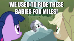 Size: 1277x715 | Tagged: safe, edit, edited screencap, screencap, character:applejack, character:rarity, character:tom, character:twilight sparkle, episode:the return of harmony, g4, my little pony: friendship is magic, caption, discorded, image macro, impact font, it's a rock, meme, pizza delivery, spongebob reference, spongebob squarepants, text